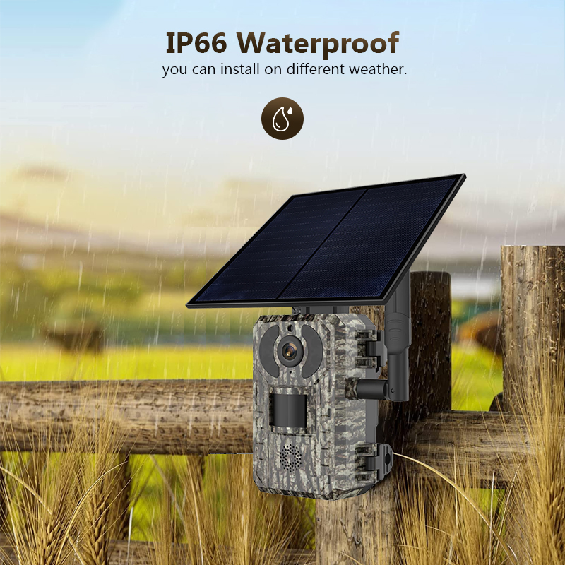 4G 4MP Outdoor Wildlife Huntin - Hunting Outdoor Game ulasan dan harga