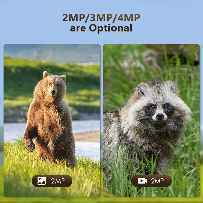 4G 4MP Outdoor Wildlife Huntin - Hunting Outdoor Game ulasan dan harga